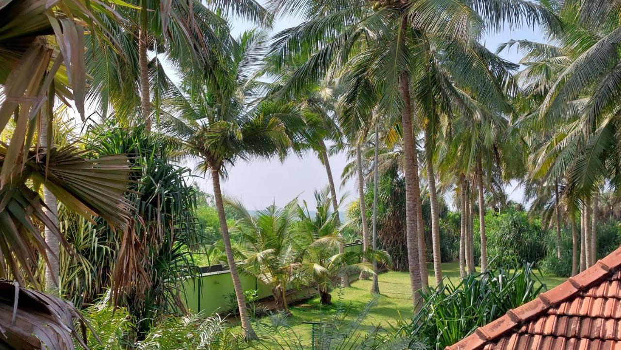 Bandulas Beach House Hikkaduwa Exterior photo